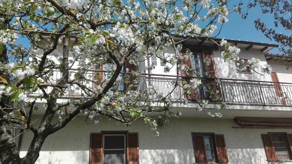 Bed And Breakfast Casale Isorella San Gemini Eksteriør billede