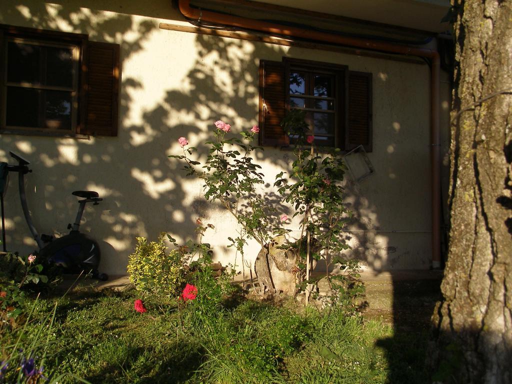 Bed And Breakfast Casale Isorella San Gemini Eksteriør billede