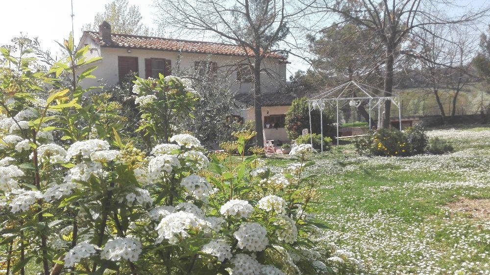 Bed And Breakfast Casale Isorella San Gemini Eksteriør billede